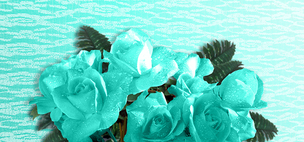 Bouquet Of Roses Turquoise PROOF